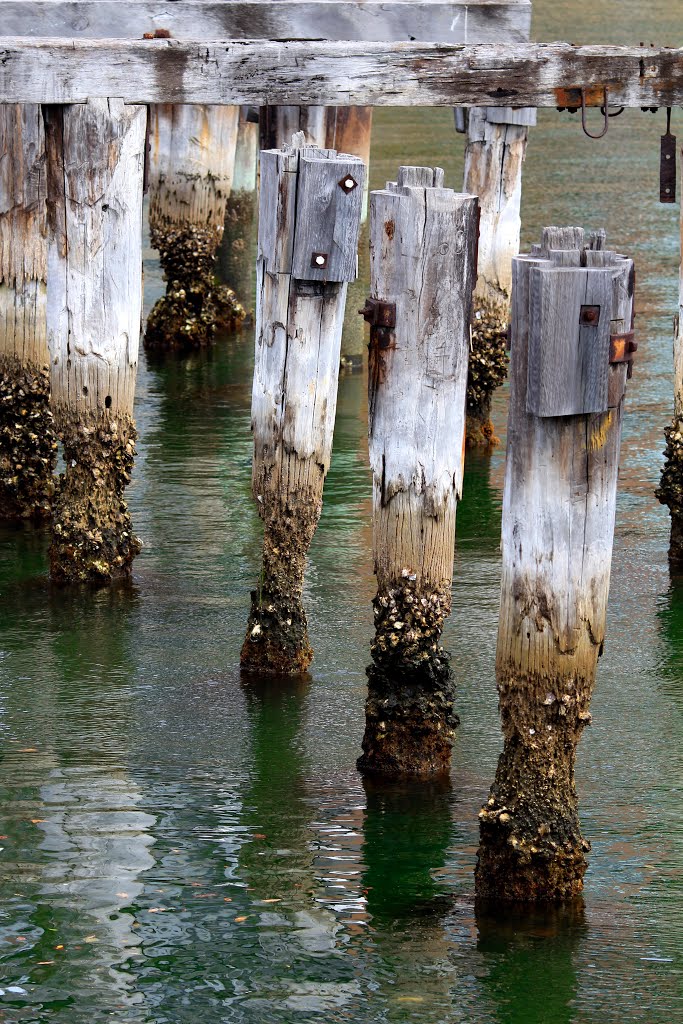 Hourglass Jetty Pylons by Roger Powell