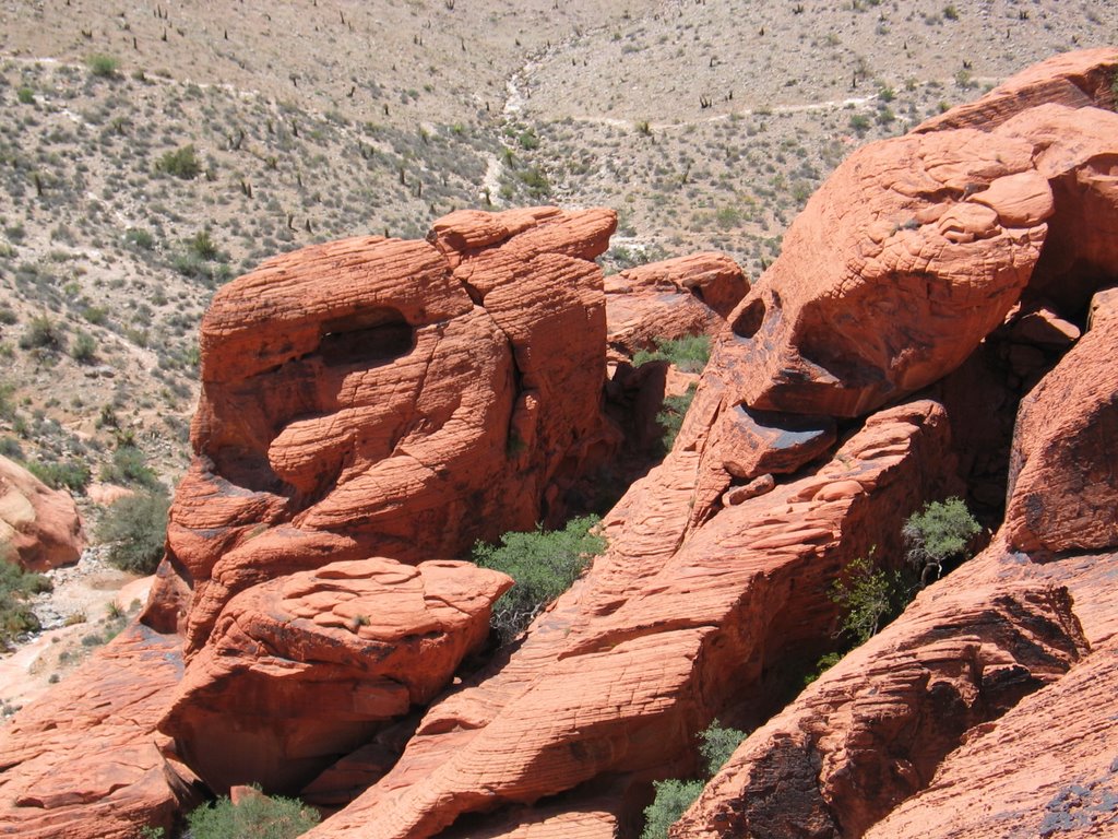 Red Rock Canyon by ea1494