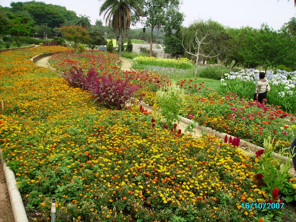 Jardim Botânico do Zoológico de Belo Horizonte by G Gomide