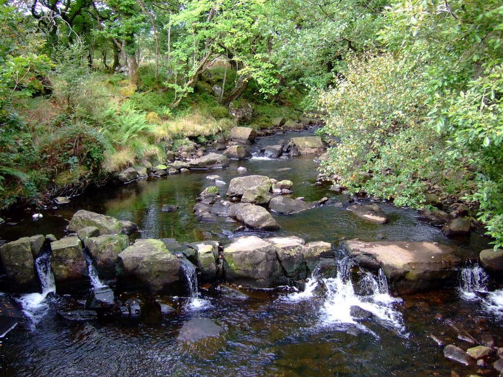 The Old Stepping Stones by Glyn