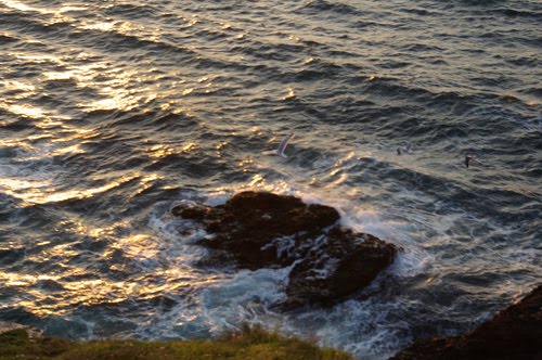 Contre-jour tardif sur l'océan. by Bernard Fontaines