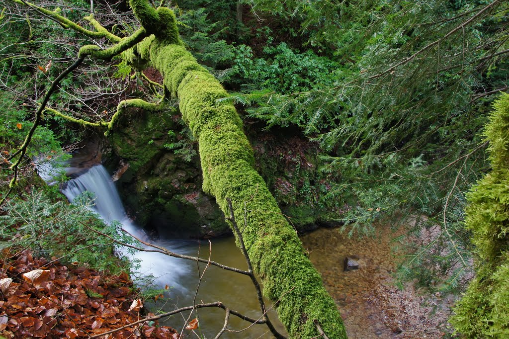 Geroldsauer Wasserfall im Nordschwarzwald by schnauzerfreund