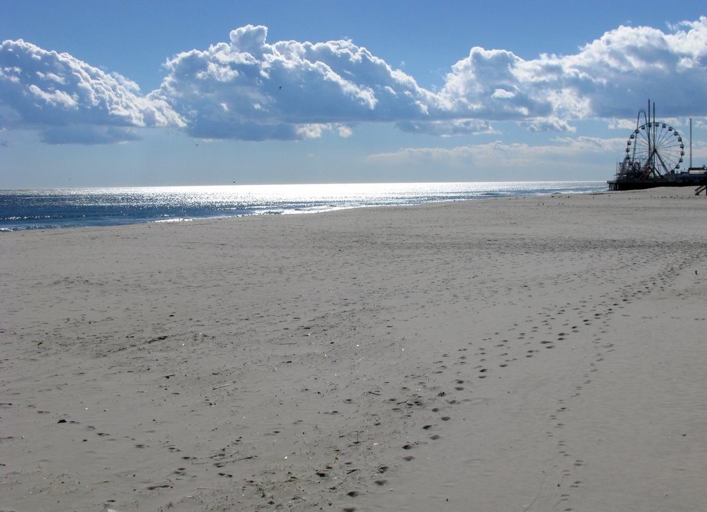 Wide shot of beach south of casino pier by hwpeterson