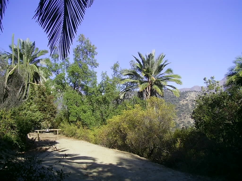 Vista desde el sendero a la cascada. by Gerald Foxon