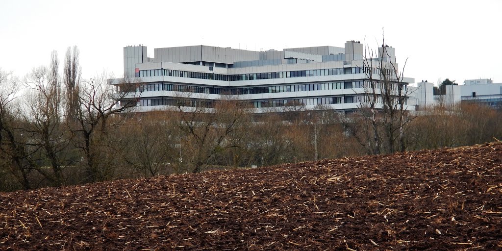 Max-Planck-Institut in Stuttgart by Qwesy