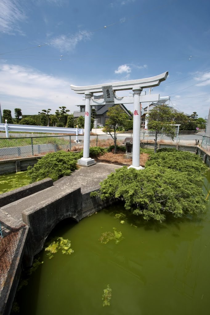 20130519　印西市の厳嶋神社 by rerereno-ozi3