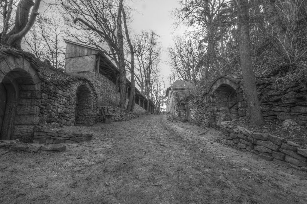 Historische Kelleranlage Unterhaid by Schmeukel