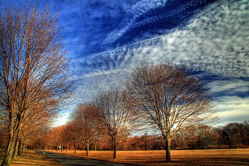 Caumsett State Park by lanman2