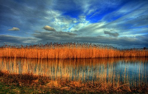 Levy Preserve by lanman2