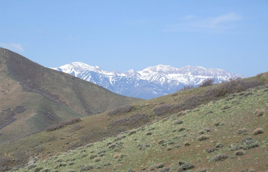 Stansbury Mountains & Deseret Peak from Oquirrh Mountains by acidman1968