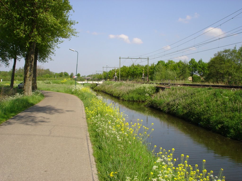 Oudwulfseweg by e.vanden.bergh