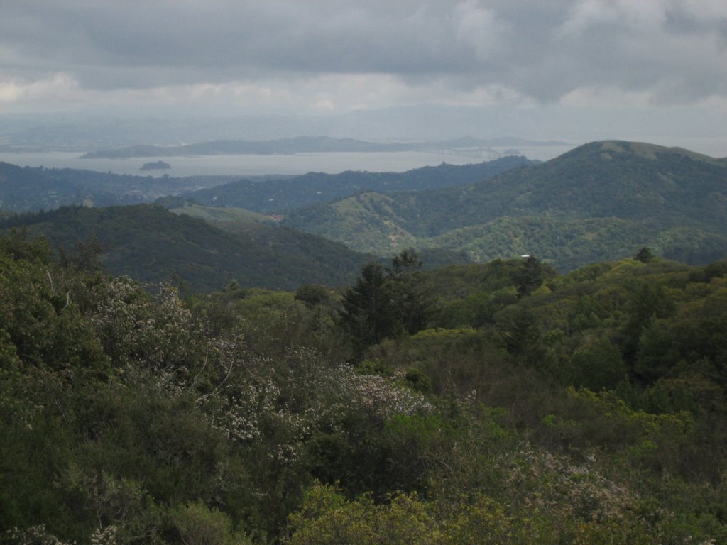 Baldy and Richmond from White Hill Rd by Gsmick