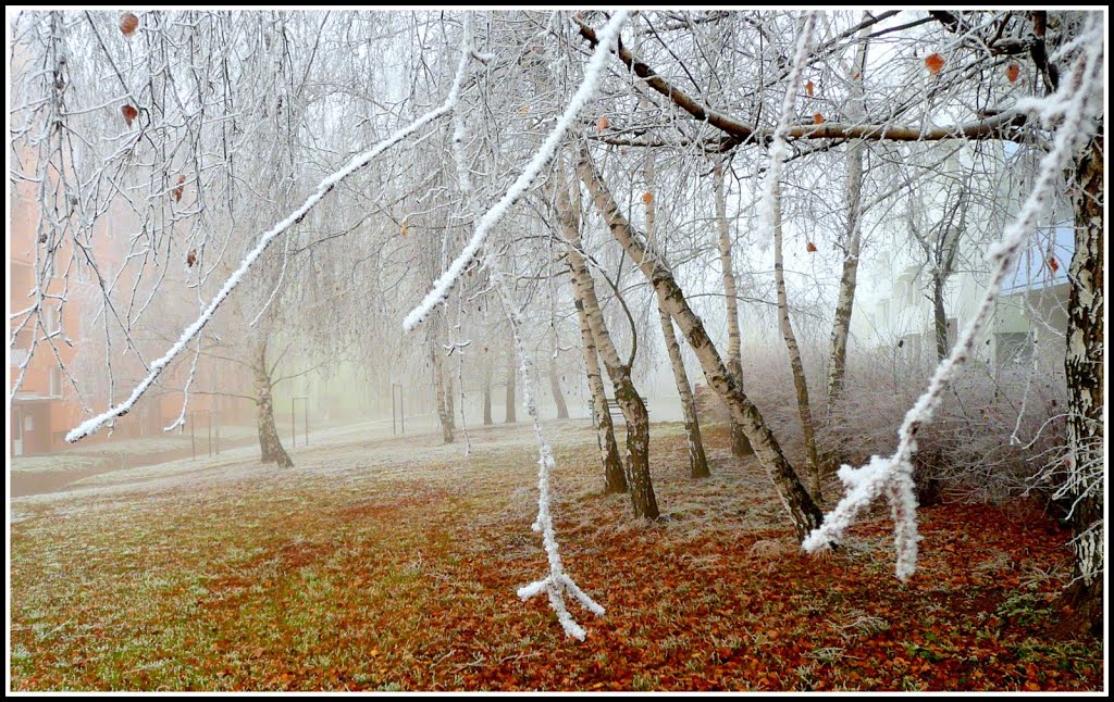 Vánoční pozdravení všem by Zdenek Mario