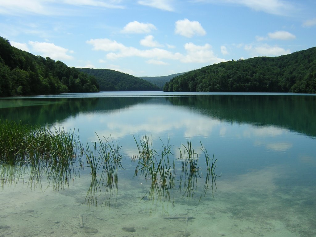 Plitvice lakes (Croatia), summer 2007 by rdaniel