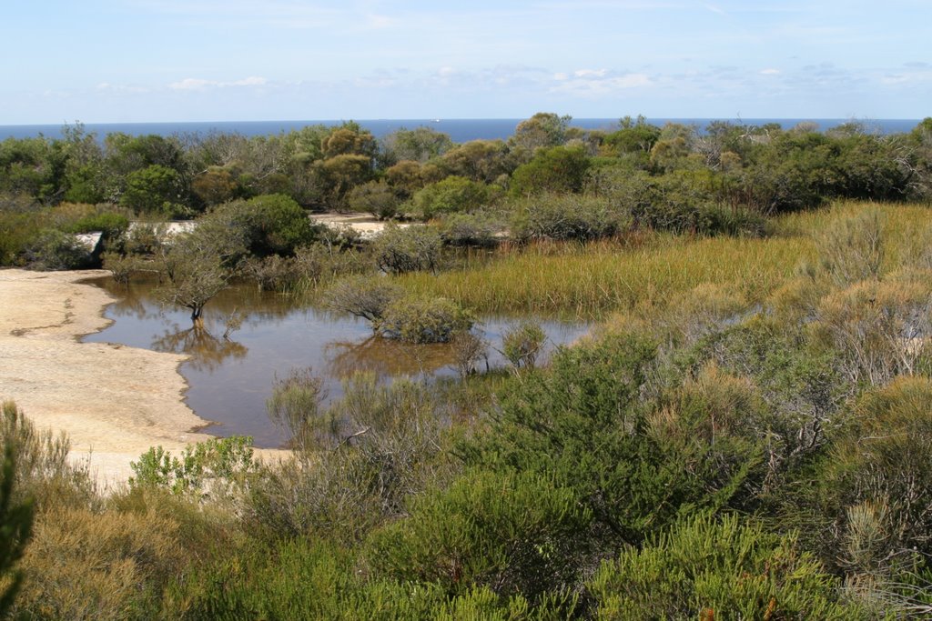 Small lake at Manly by rlangdoc