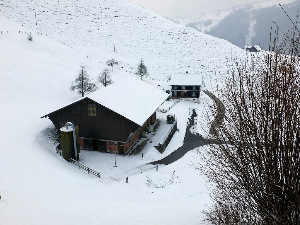 Bergbauernhof Ennetmoos, meine Geburtsstätte by Ruedi (⊙o⊙)