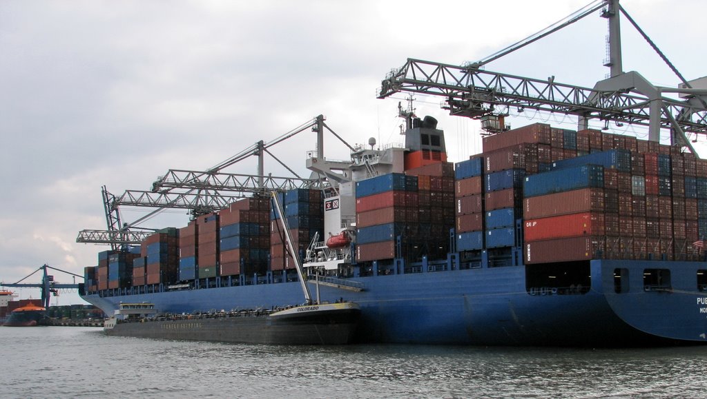 Containership Rotterdam harbour by Don Carlos