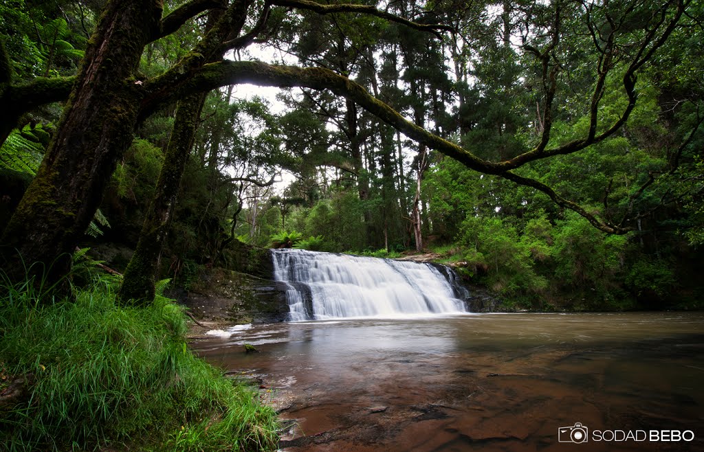 Morwell River Falls, Grand Ridge VIC by Sodad Bebo