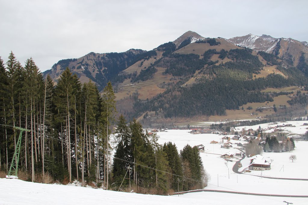 Scenic view onto Château d'Oex from Les Trembleys by 6004592