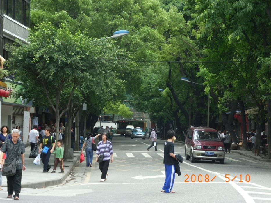 龙津西路 Longjin Road West. by sanderluohao