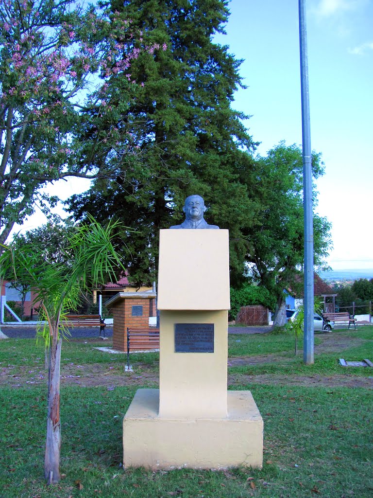 Busto de Naro Pereira da Silva by Paulo RS Menezes