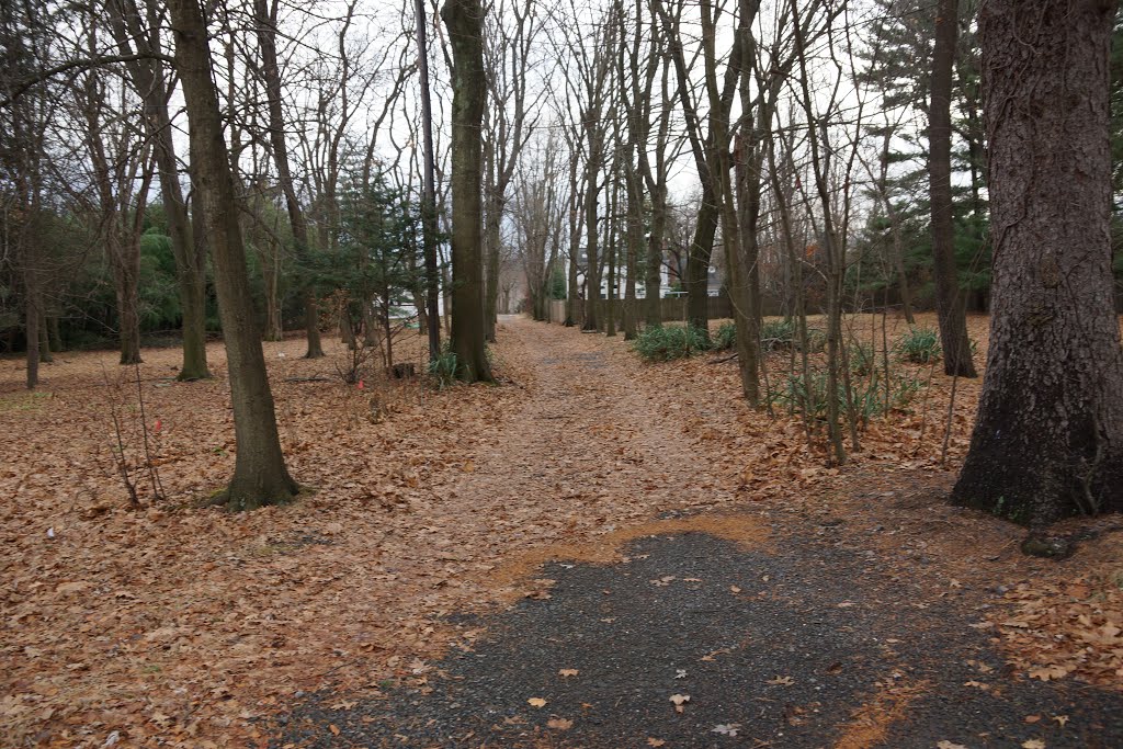 Jacob Vanderbeck Jr. House Driveway by DanielMazover