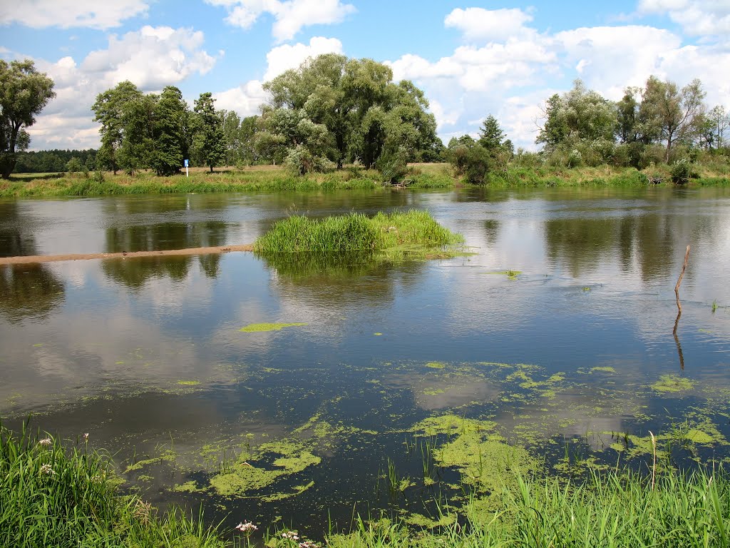 Narew w Teodorowie by celulozik