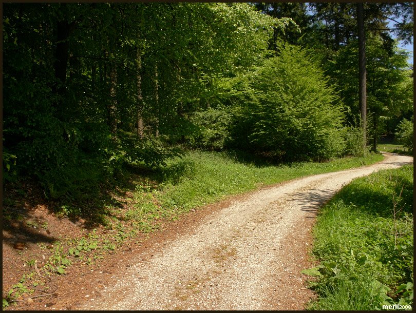 Merli: Wanderweg zur Zwergenhöhle by merli