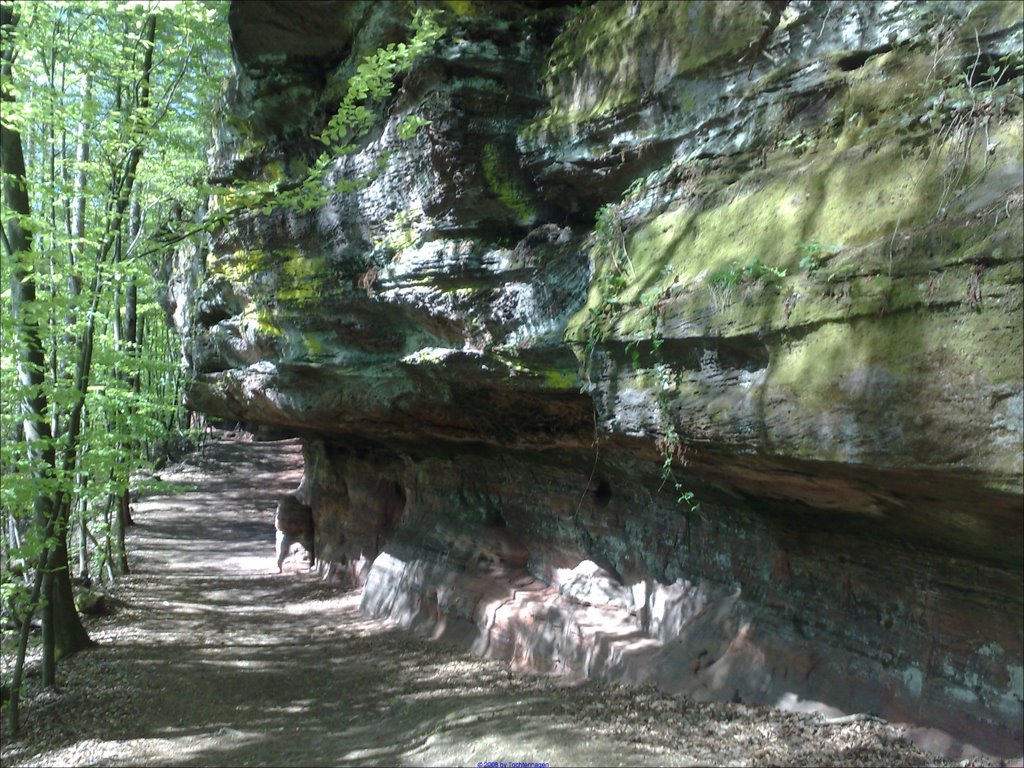 Altschlossfelsen by foto-schleusingen.de