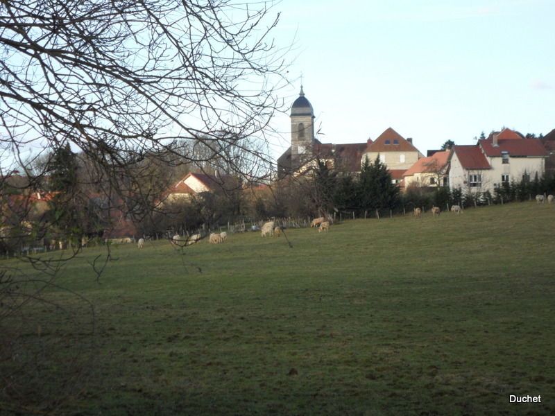 Grandfontaine, Doubs by Duchet