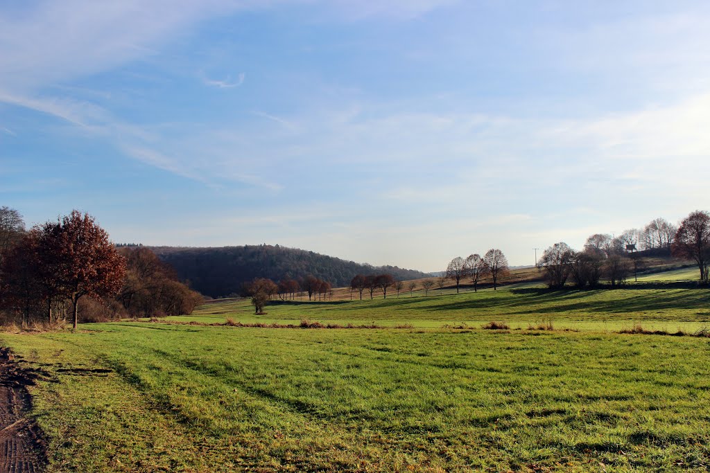 Im Erbachtal by oller rainer