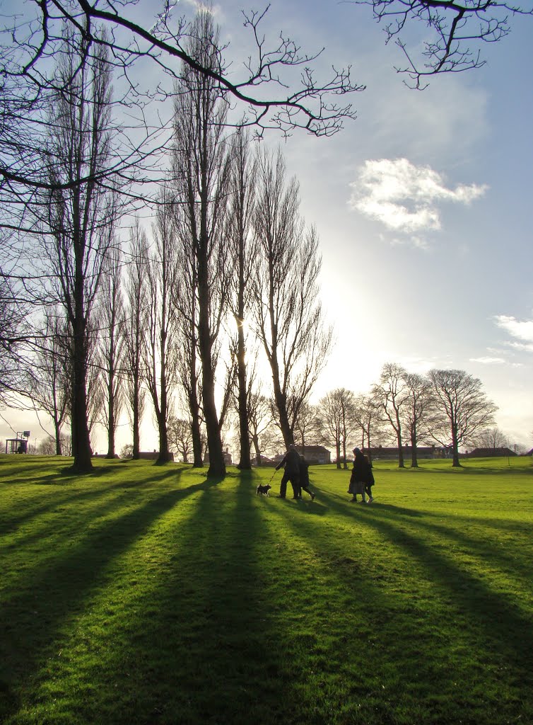 Long shadows in Mortomley Park 1, High Green, Sheffield S35 by sixxsix