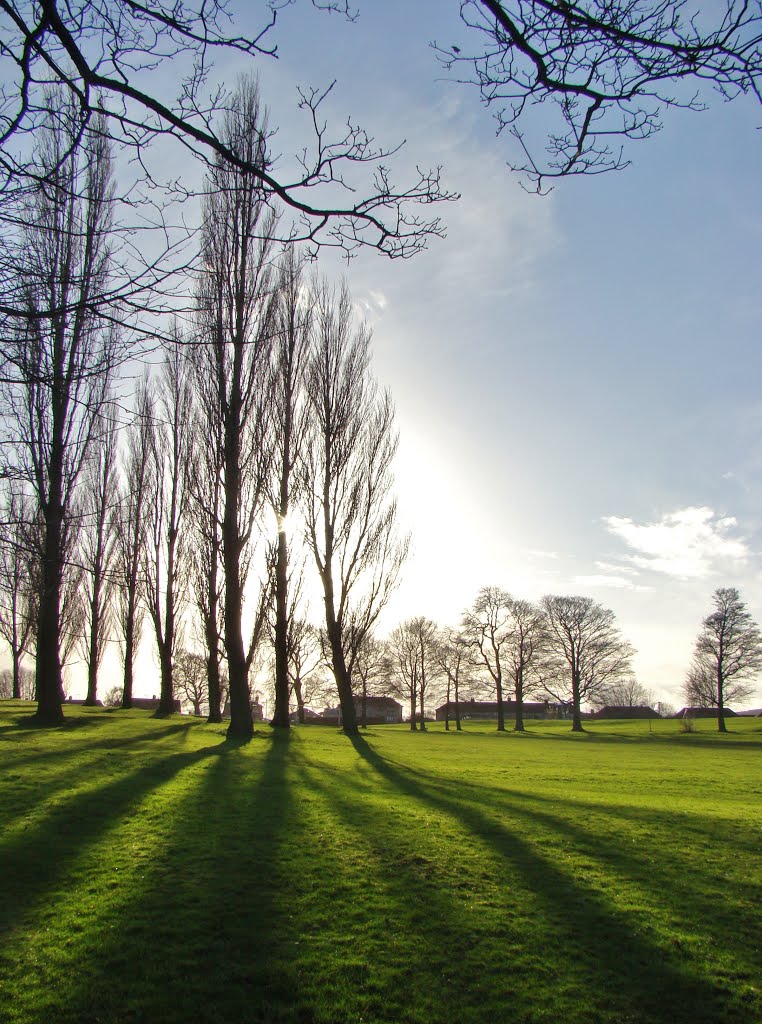 Long shadows in Mortomley Park 2, High Green, Sheffield S35 by sixxsix