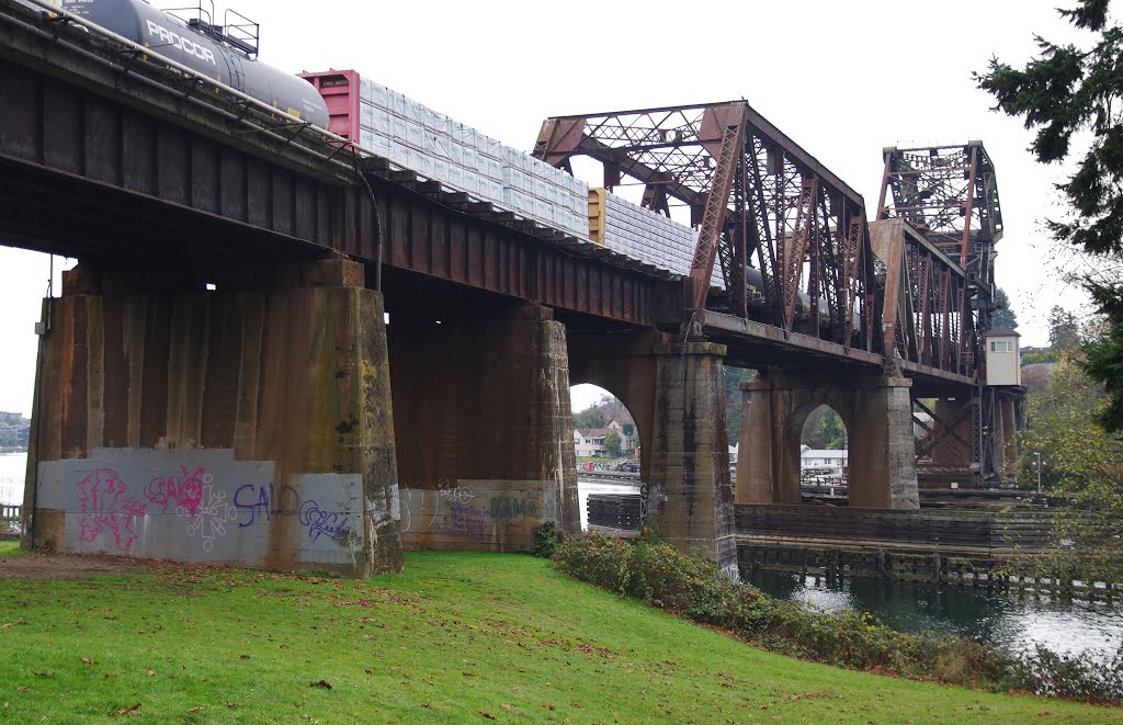 Freight train passing the drawbridge, Seattle by Tjark van Heuvel