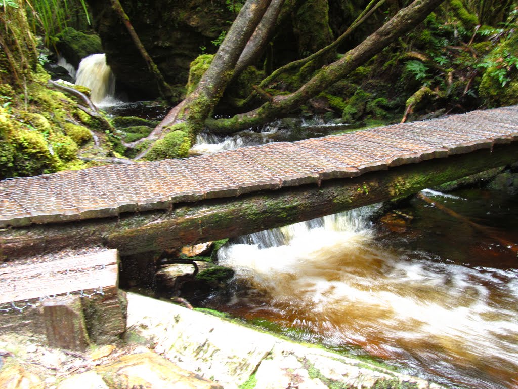 Cool Creek Crossing by Lucas Chamberlain