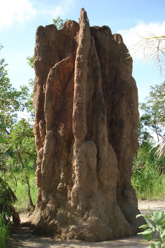 Cathedral Termite Mound by AwOiSoAk KaOsIoWa