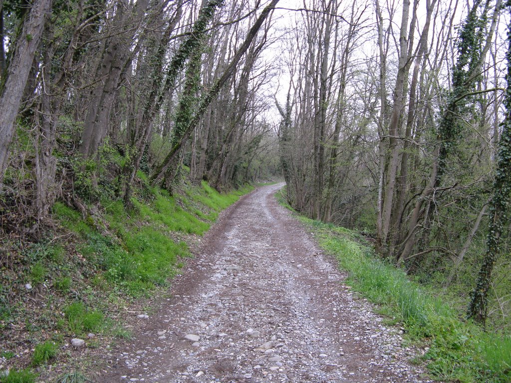 Chemin de Ternier à Lathoy (vers Lathoy) by Paul Myers