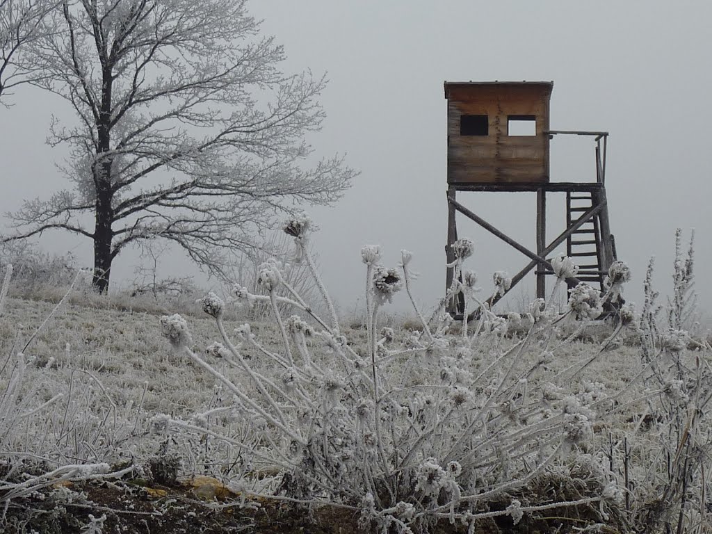 Nunmehr steht der Ansitz im abgezäunten Gebiet; hoffentlich verpassen sie uns nicht demnächst eine Ladung Schrot... =:-) by fuzzy_von_steyr