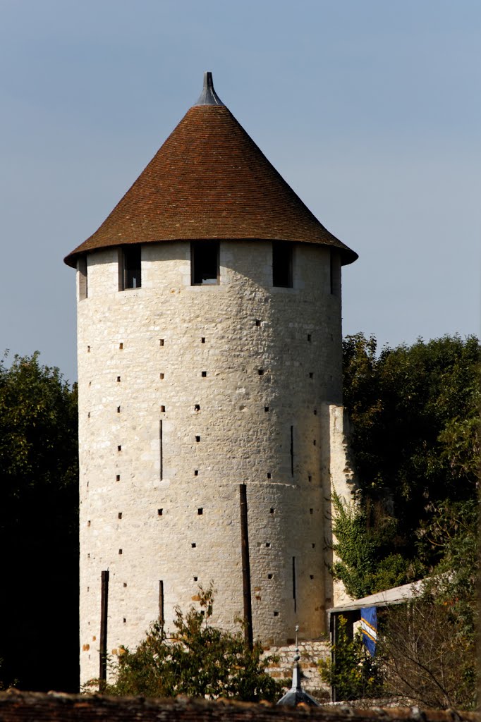 Tour aux pourceaux, Provins by sandcove