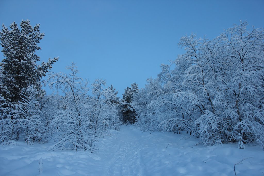 Karesuvanto Lapland by DJR01