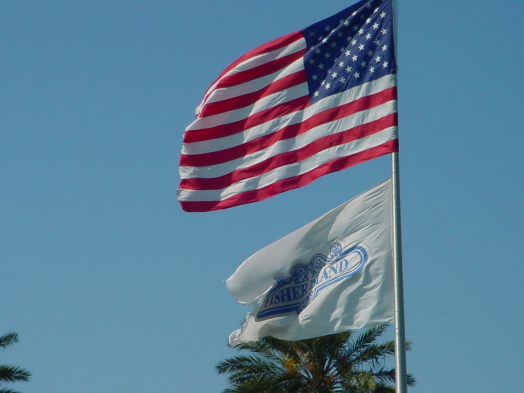 American Flag in Miami by Serena Albano