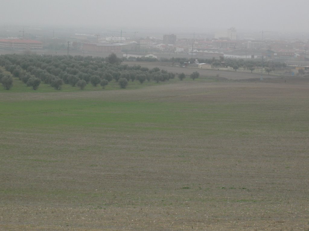 Torrijos con niebla by chusete