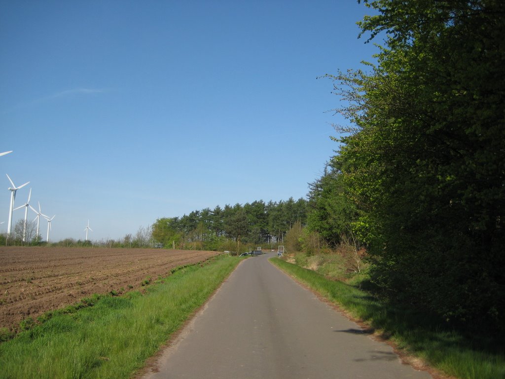 Holßel - Rugenbergsweg / Blick auf die Autobahnbrücke by Robert-68