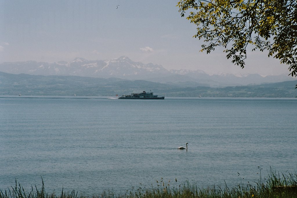 Friedrichshafen Blick zum Saentis (CH) by gladstorm