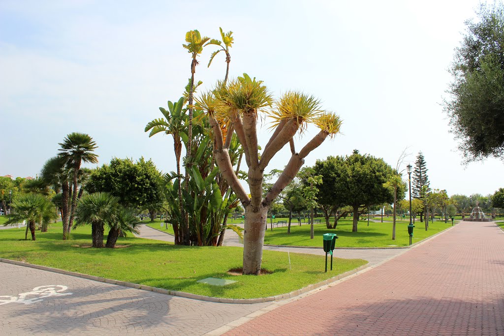 Torremolinos. Parque La Batería by Sergey Samusenko