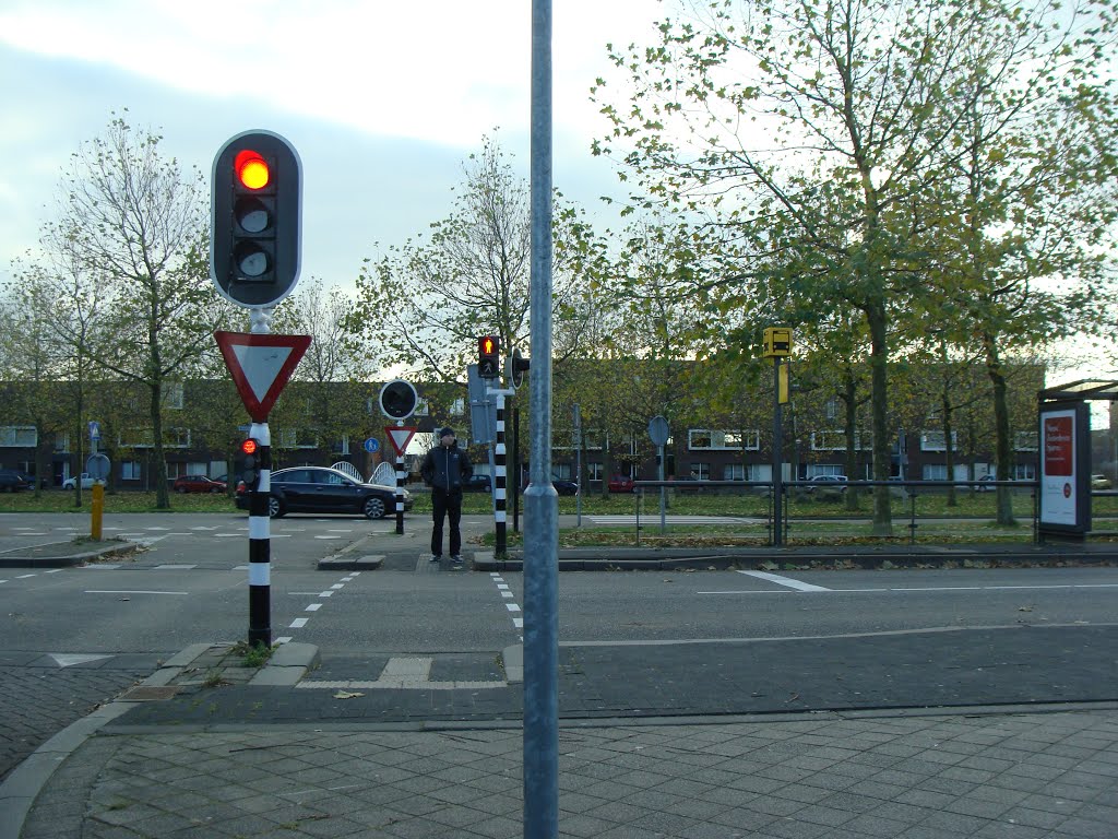 De Verkeerslichten by Remco Kohler