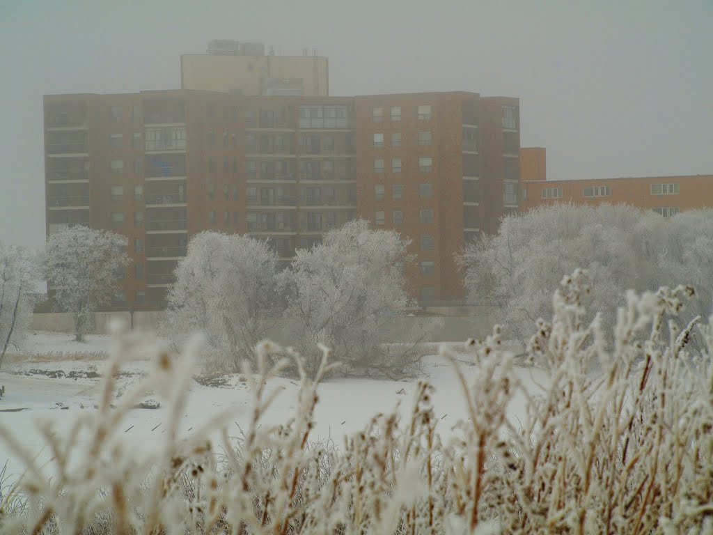 St Vital park Winter 2012 by Shahnoor Habib Munmun