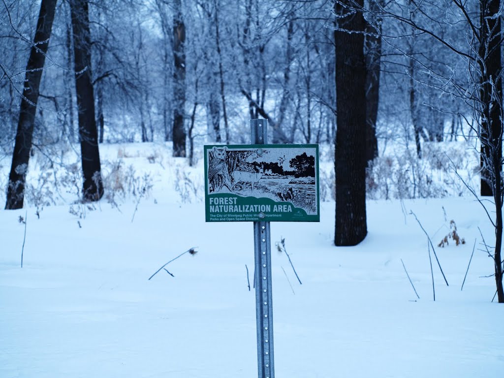 Crescent Drive park Winter 2010 by Shahnoor Habib Munmun