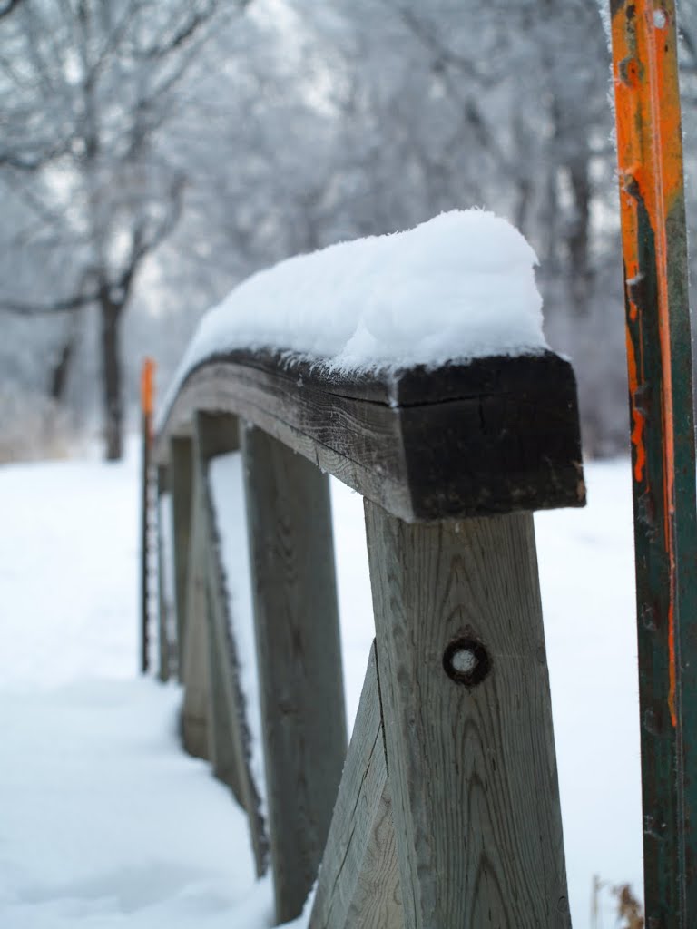 Crescent Drive park Winter 2010 by Shahnoor Habib Munmun