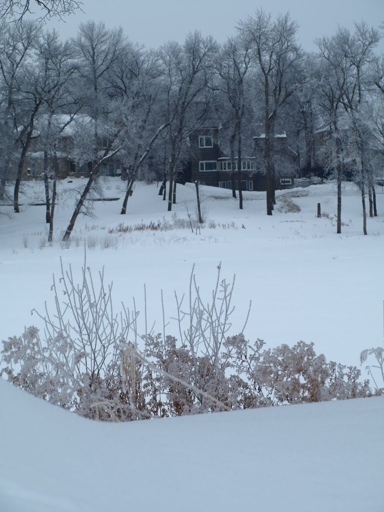 Crescent Drive park Winter 2010 by Shahnoor Habib Munmun